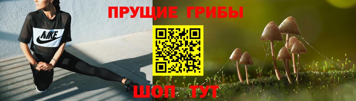 Галлюциногенные грибы мицелий  Вход с VPN  сколько стоит  Балабаново 